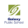 Galaxy Public School, Kathmandu logo